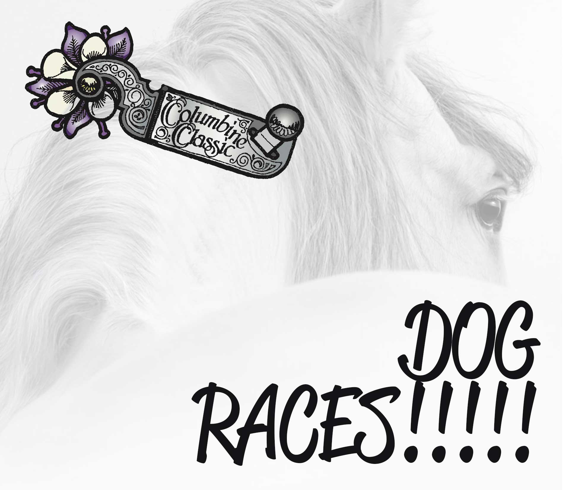 tcc-dog-races