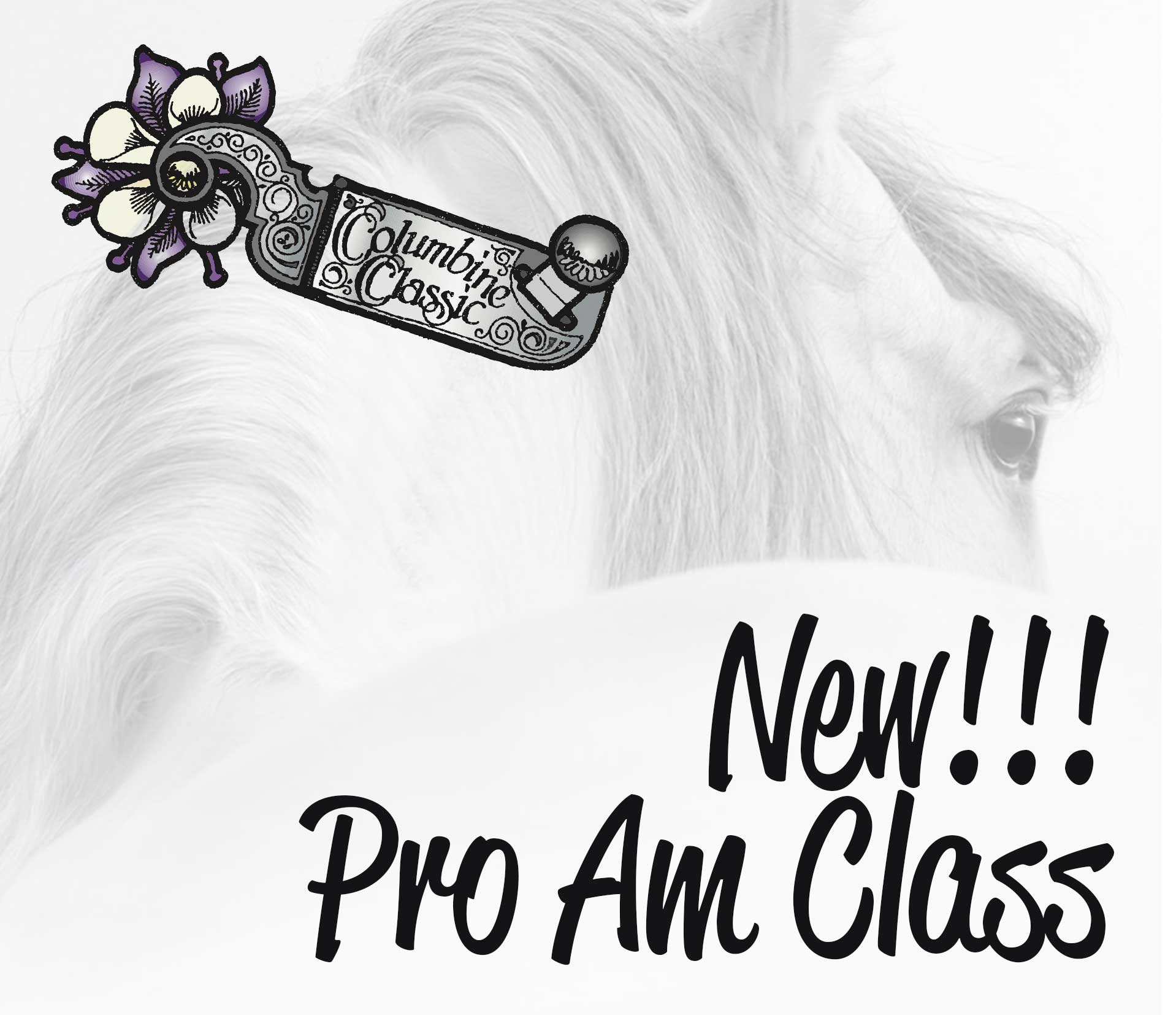 tcc-pro-am-class tcc-pro-am-class