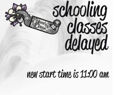 tcc-schooling-delayed