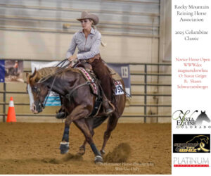 tcc-novice-horse-open