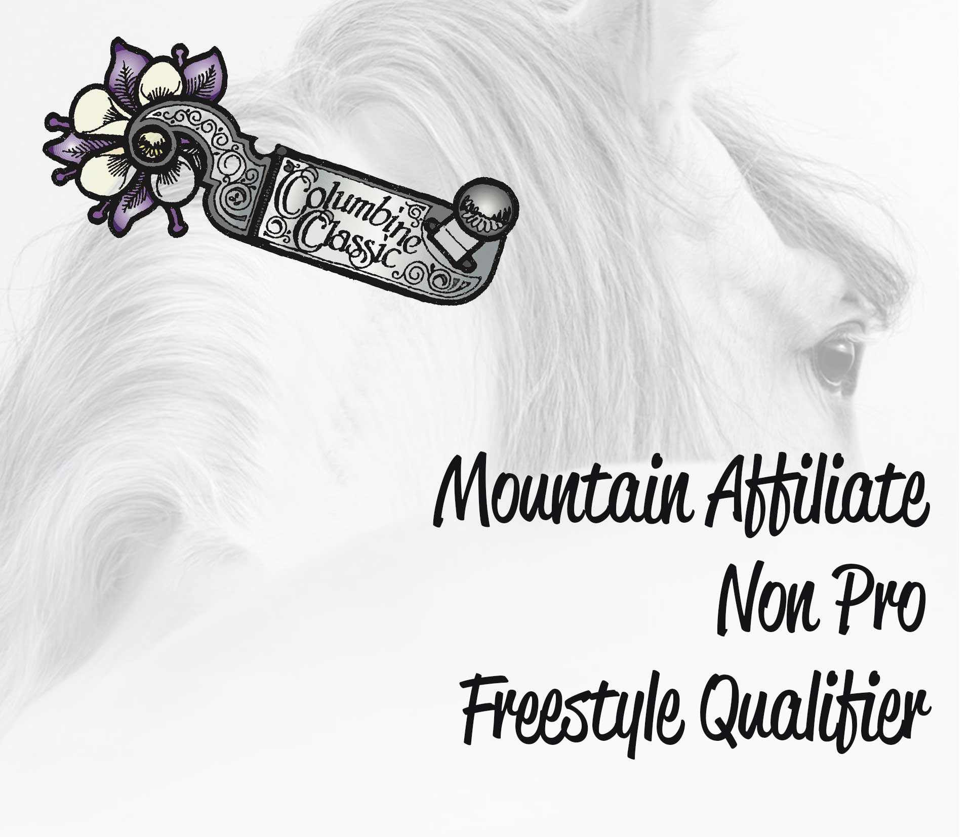 tcc-mtn-affiliate-freestyle-qualifier